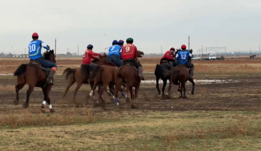 Жамбыл облысында командалық көкпардан ашық турнир өтті