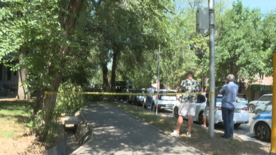 Ағаш бұтағы адамның үстіне құлап, мерт қылды