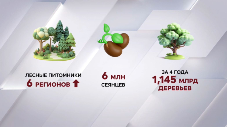 ₸21,2 млрд  потратят на создание лесных питомников в Казахстане