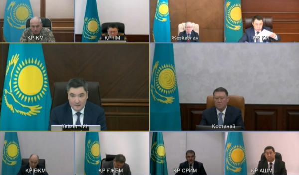 Бектенов раскритиковал Минздрав и акиматы