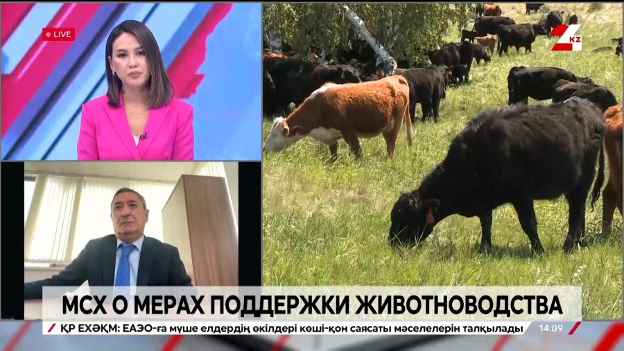 МСХ о мерах поддержки животноводства. Серик Нуртаза