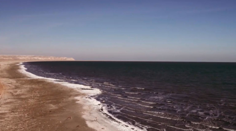 Арал теңізінің экожүйесі жақсарып келеді