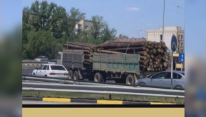 Абай облысында өртенген орманды заңсыз отауға жол берілмейді