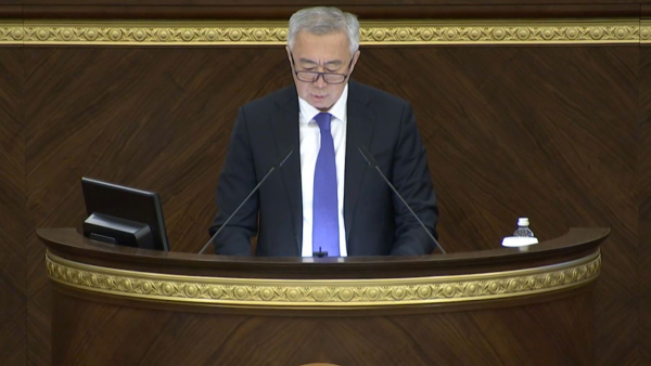 Қалалардың сыртқы келбетін жақсарту нормалары әзірленді