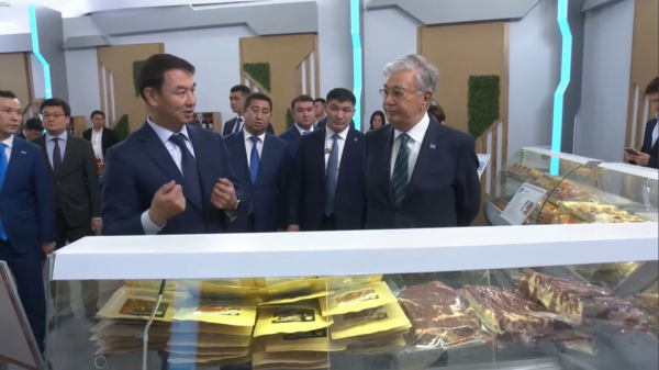 Қ. Тоқаев Түркістан өңіріндегі инвестжобалармен танысты