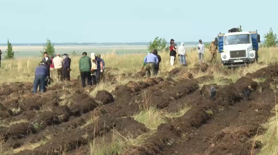18 млн деревьев высадят в Акмолинской области