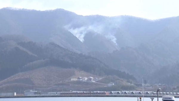 В Японии из-за лесных пожаров эвакуировали 4,5 тысячи человек