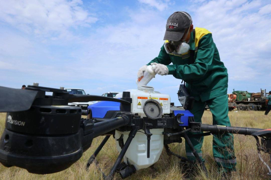 Қостанай облысында 322,85 мың га жер шегірткеге қарсы өңделді