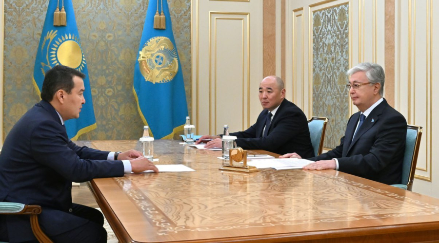 Глава государства принял председателя Высшей аудиторской палаты