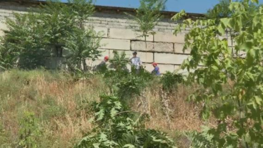 Экоактивисты составляют карту загрязнённых территорий в Шымкенте