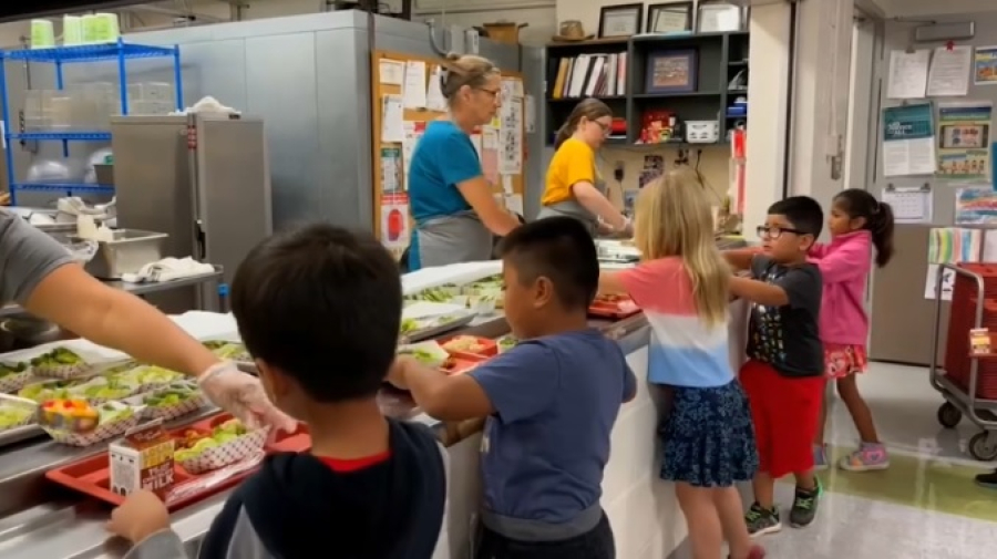 Стандарты школьного питания в разных странах