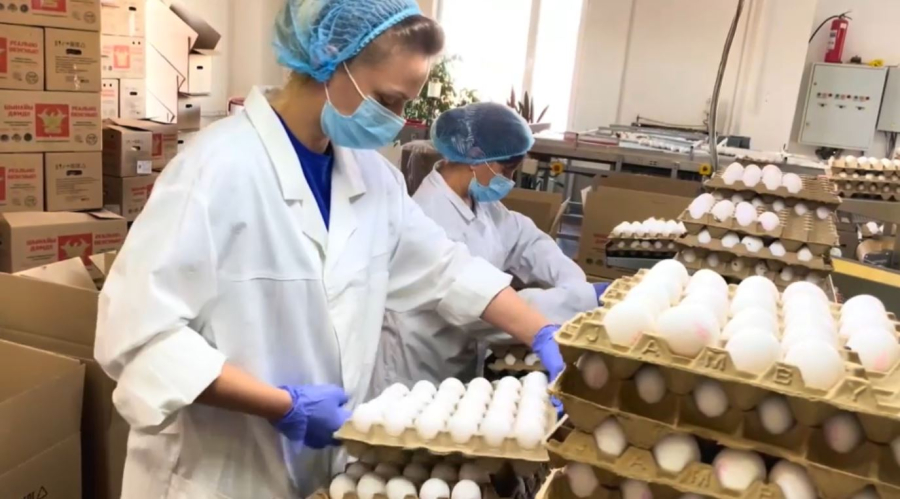 «Сұңқар» өндіріс көлемін ұлғайтты