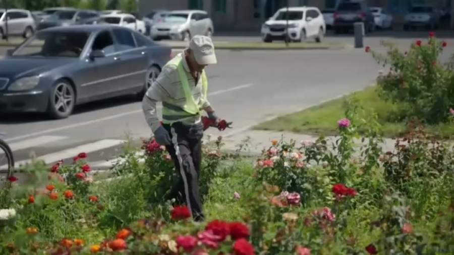 «Таза Қазақстан»: 37 экомероприятий провели в Талдыкоргане