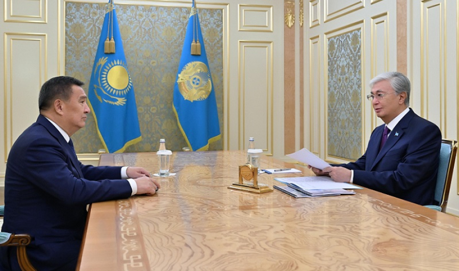 Глава государства принял акима Акмолинской области