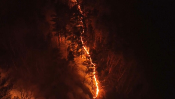 К гибели 4 человек привели лесные пожары в Южной Корее