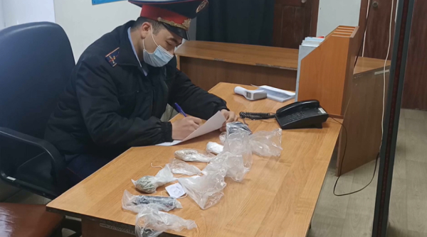 Елде есірткіге тәуелділер саны артып барады