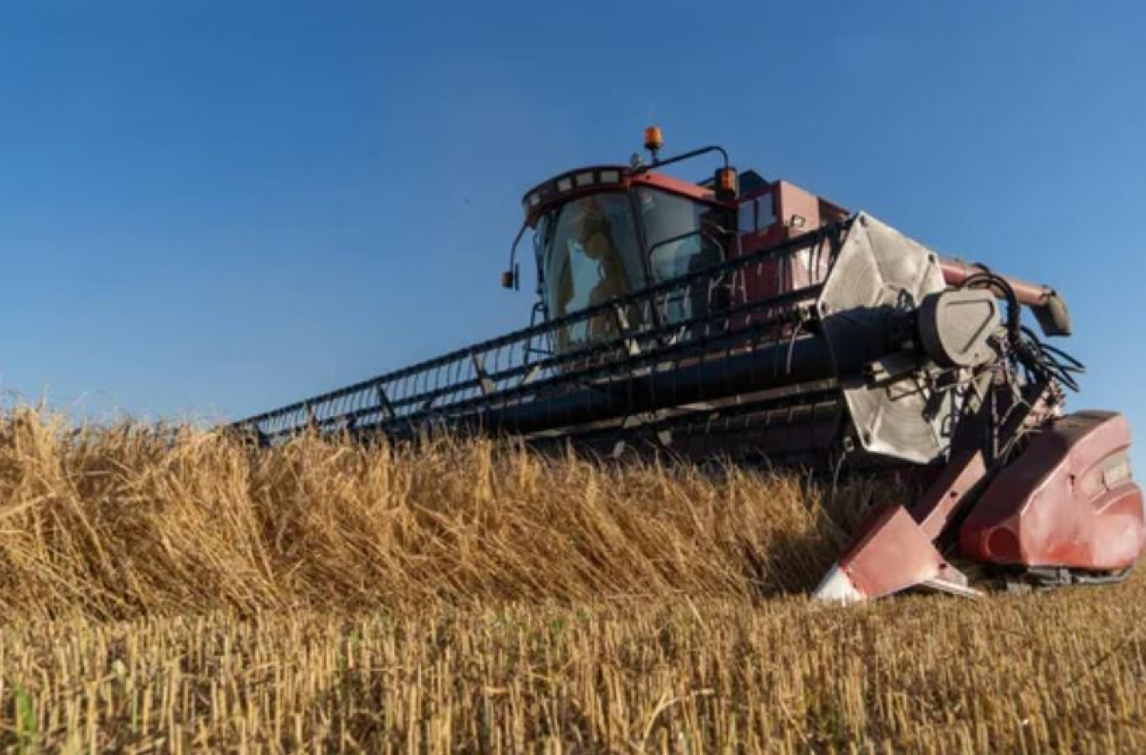 Экспорт казахстанского зерна вырос на 56%