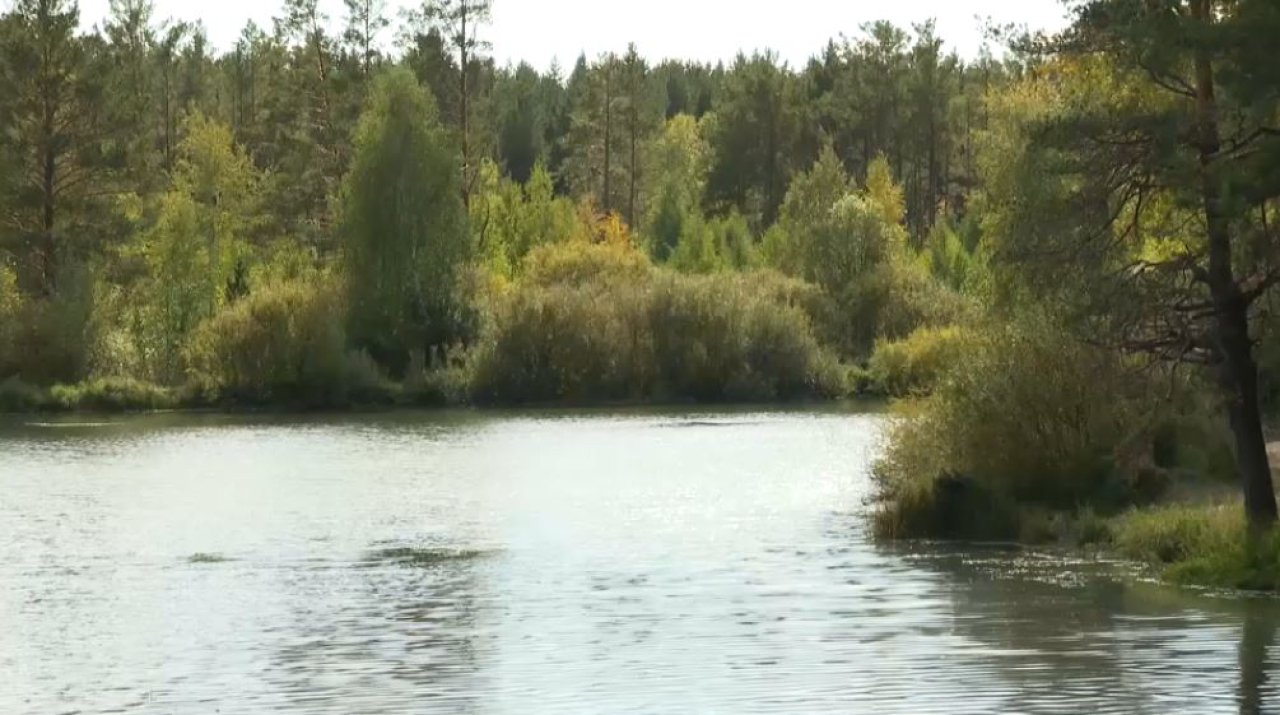 Казахстан увеличит площадь лесов