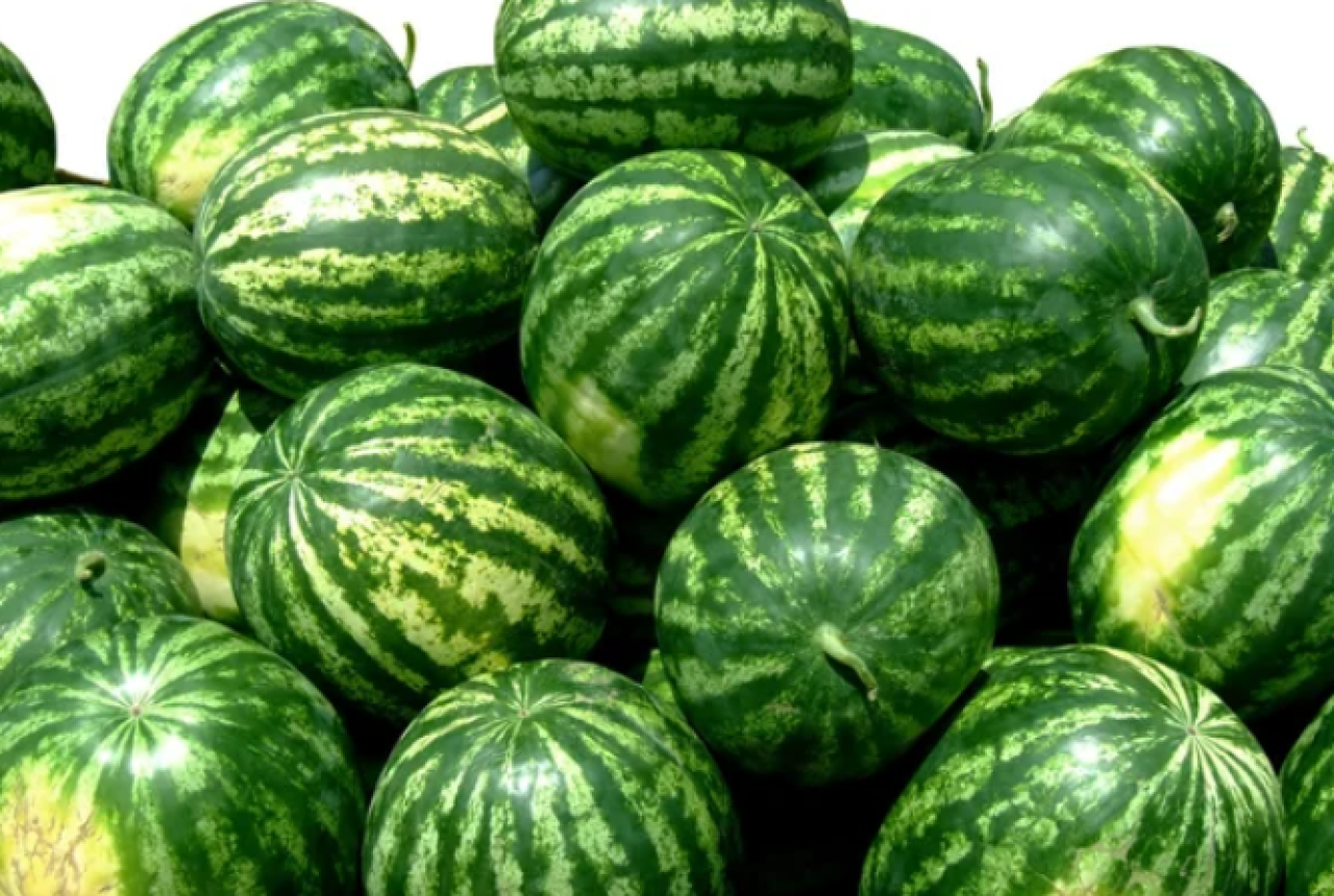 Узбекистан стал основным поставщиком арбузов в Казахстан