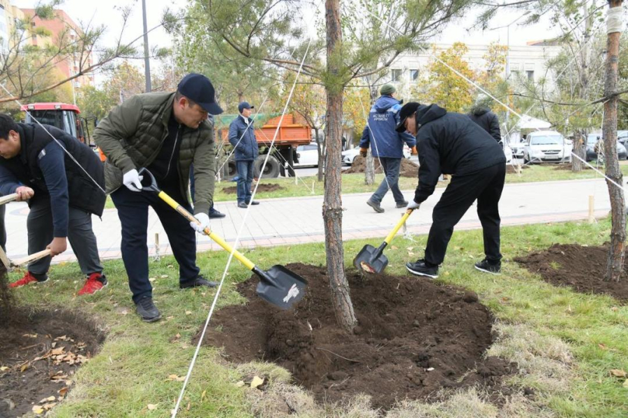 «Таза Қазақстан»: 250 деревьев высадили в столичном сквере