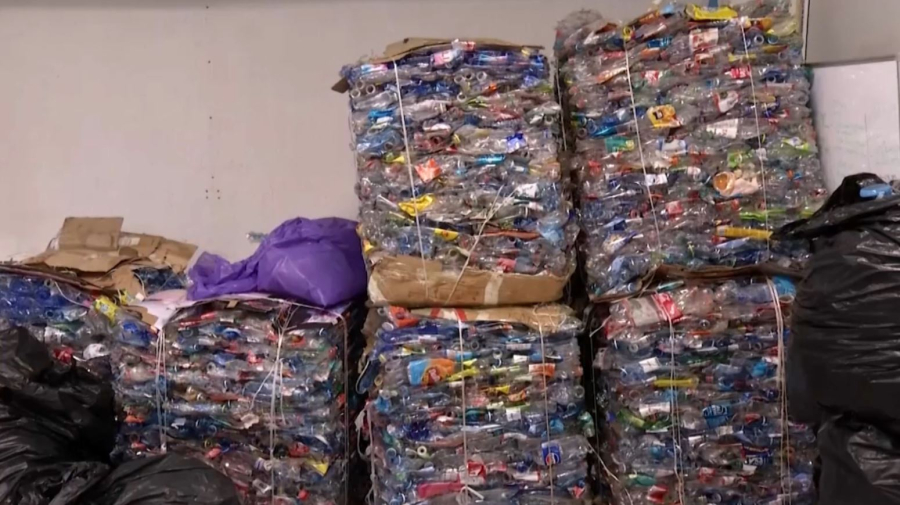 Алматы жастары экологиялық экскурсияға қатысты 