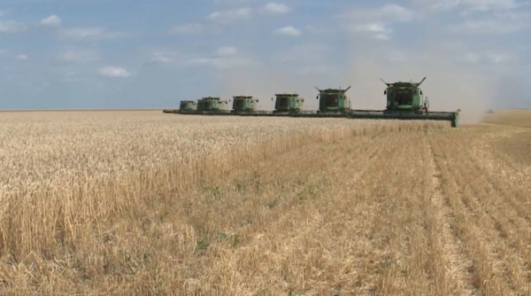 Қостанай облысында астық жинау науқаны қарқынды жүріп жатыр