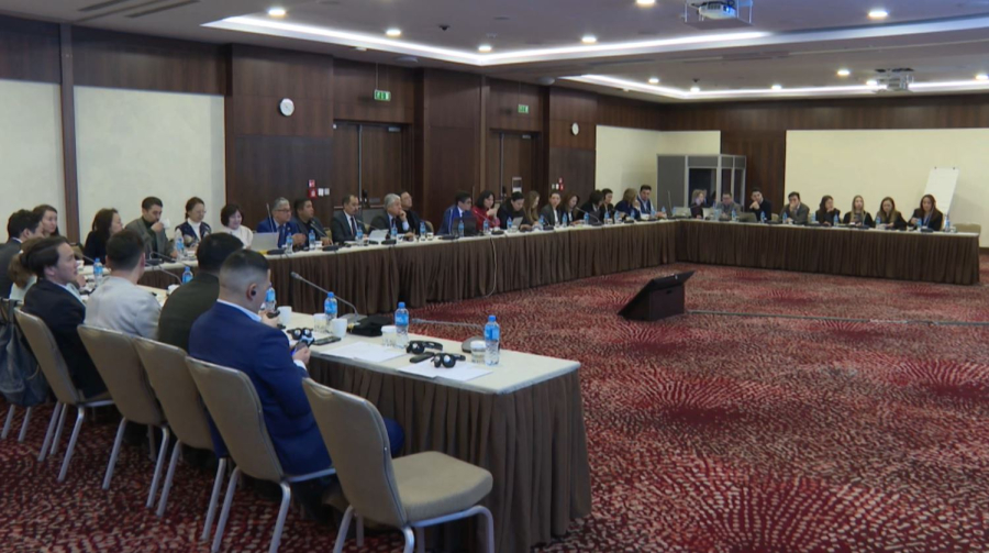 Астанада жаһандық жылыну мәселесі талқыланды