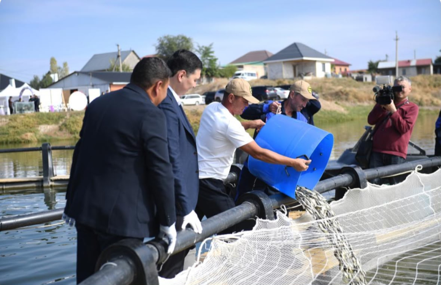 Крупное рыбоводческое предприятие открыли в Алматинской области