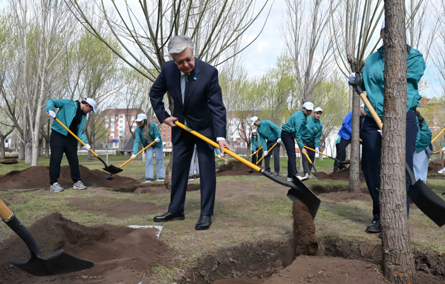 Мемлекет басшысы «Жастар» саябағында ағаш екті
