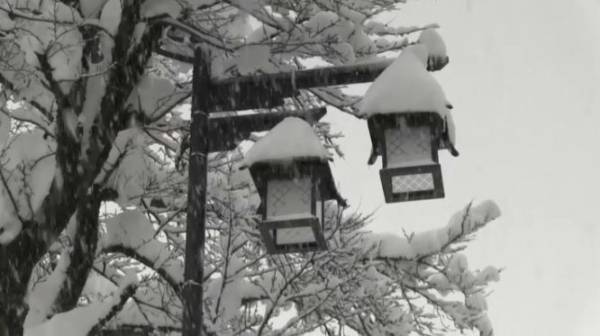 За две недели сильного снегопада в Японии погибли 20 человек