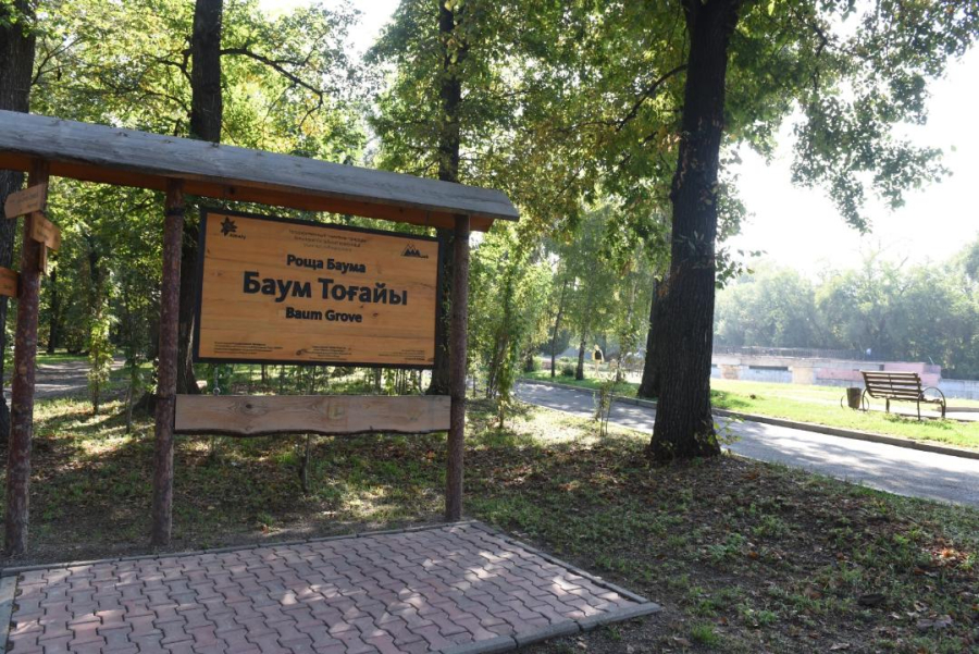 Проект благоустройства рощи Баума представили жителям Алматы