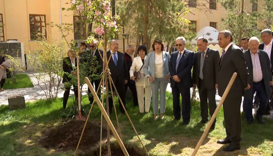 Алматыда «Сәтбаев сакурасы» егілді