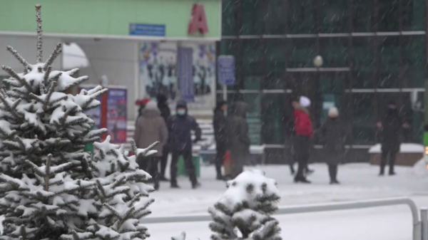 Әлем бойынша 4 млн адам туған күнін 29 ақпанда тойлайды