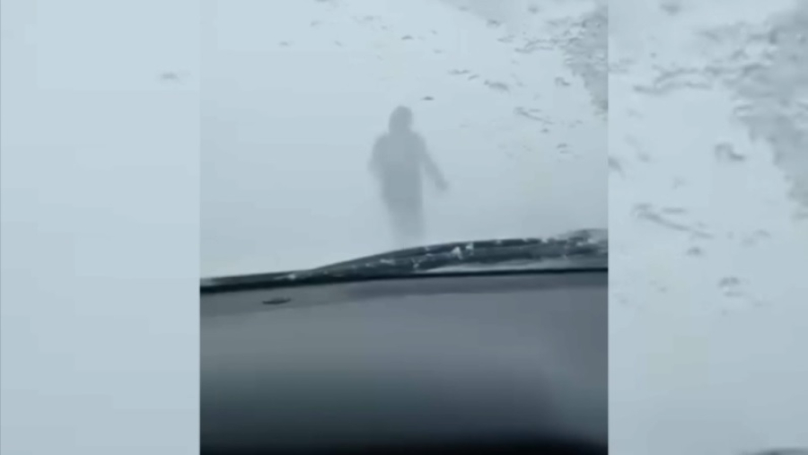 Сельская учительница вывела автоколонну во время бурана