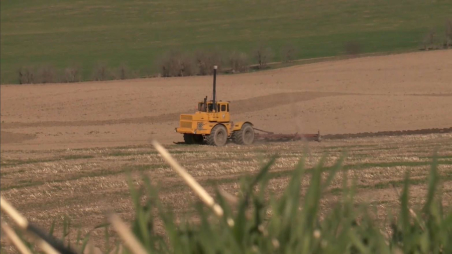 О. Бектенов: Құрғақшылыққа төзімді агротехнологияға көшу керек