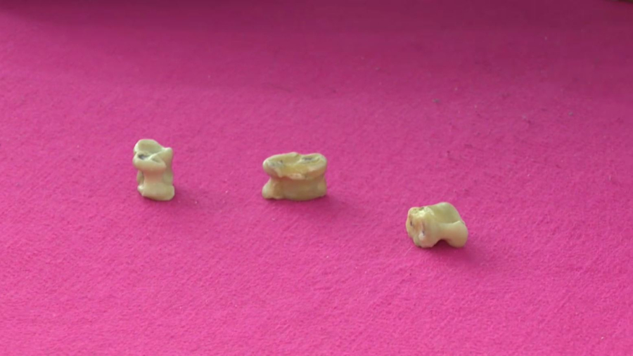 Асық атудан Қазақстан чемпионаты басталды