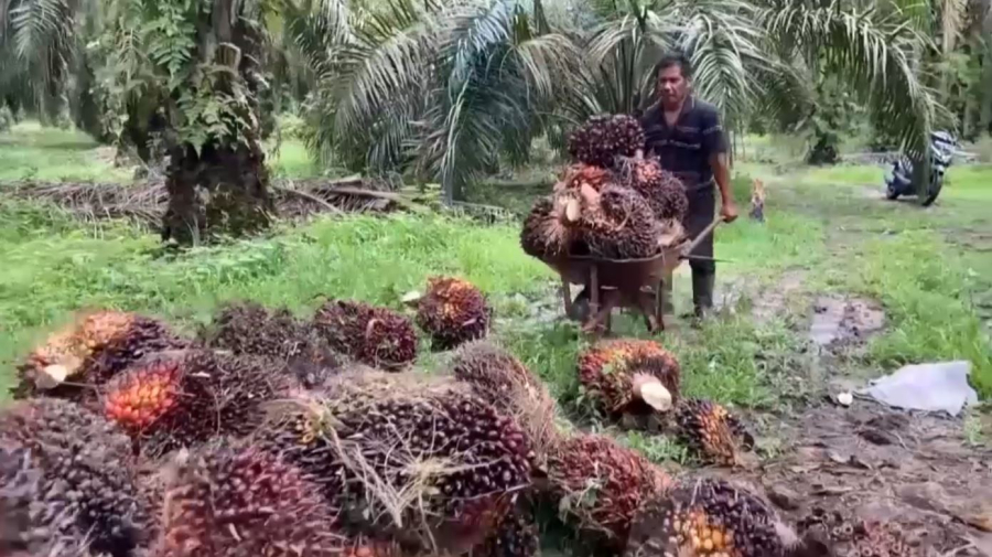 АҚШ пен Индонезия сауда келісіміне қол қойды
