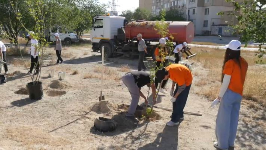 Студенты приняли участие в благоустройстве микрорайонов в Актау