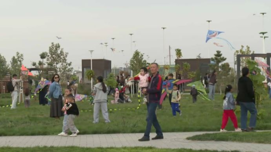 Фестиваль воздушных змеев прошёл в Шымкенте