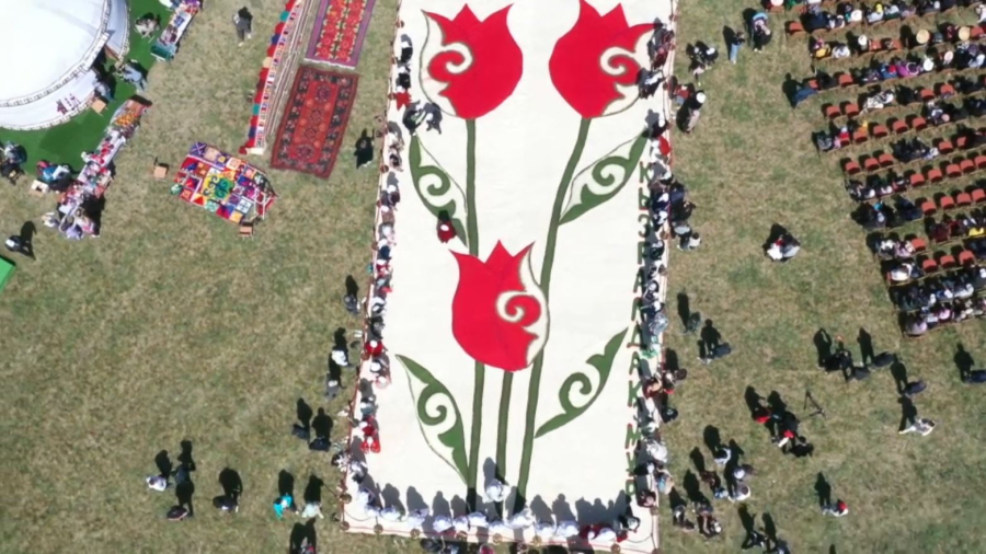 Жамбылда халықаралық қызғалдақ фестивалі өтті