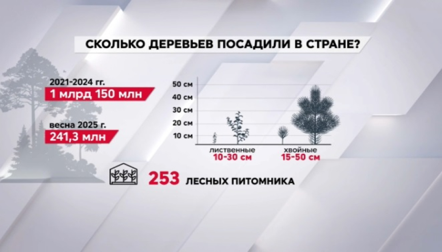 Сколько деревьев посадили в Казахстане