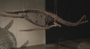 Нью-Йоркте динозаврдың сүйектері аукционға қойылды