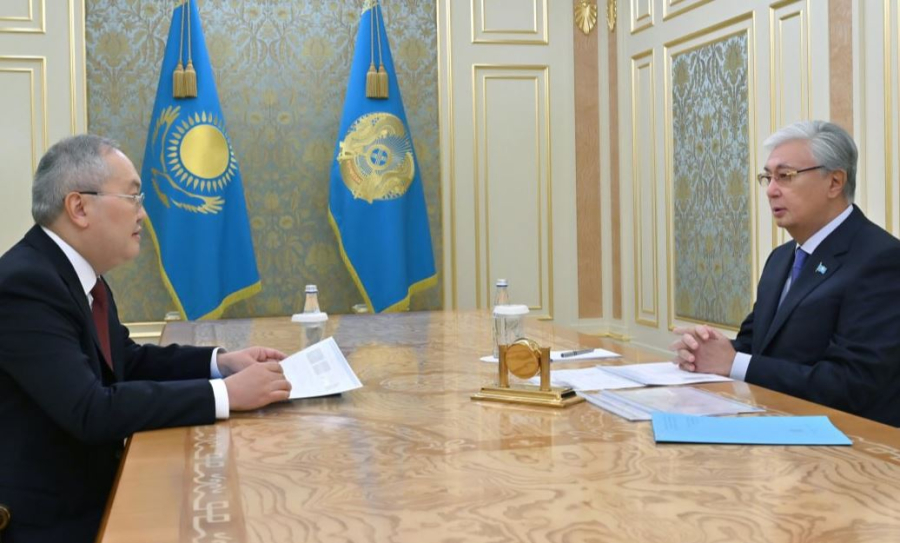 Мемлекет басшысы Қаржылық мониторинг агенттігінің төрағасы Жанат Элимановты қабылдады