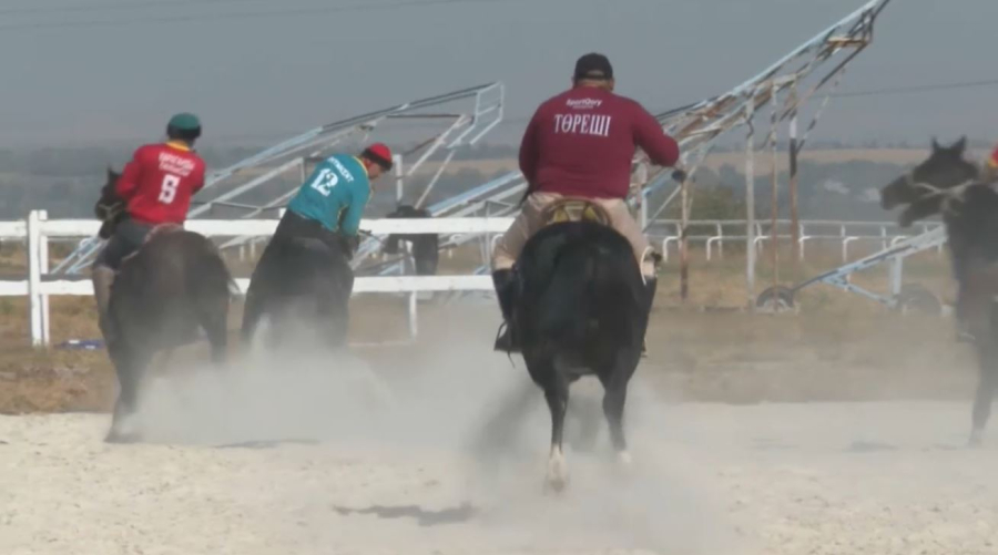 Шымкентте көкпардан ел чемпионаты жалғасып жатыр