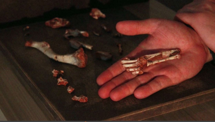 Останки древнего птерозавра обнаружили в США