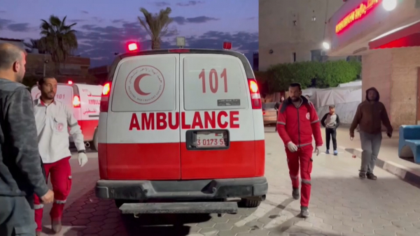 Иностранные волонтёры погибли во время обстрела сектора Газа