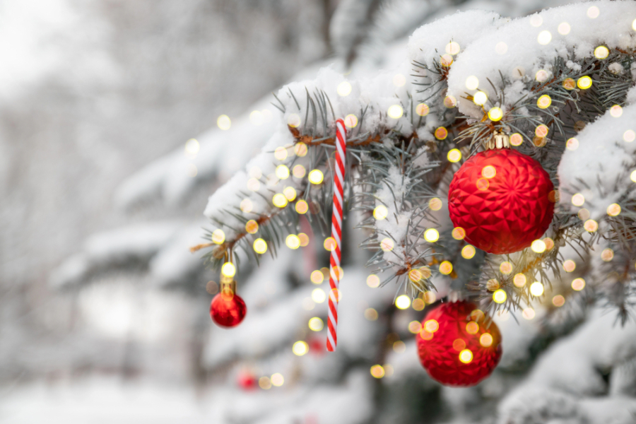 Более 40 новогодних елок одновременно зажгутся в Астане