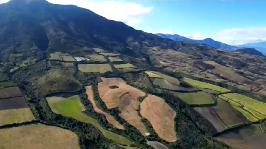 Защита лесов: международная практика