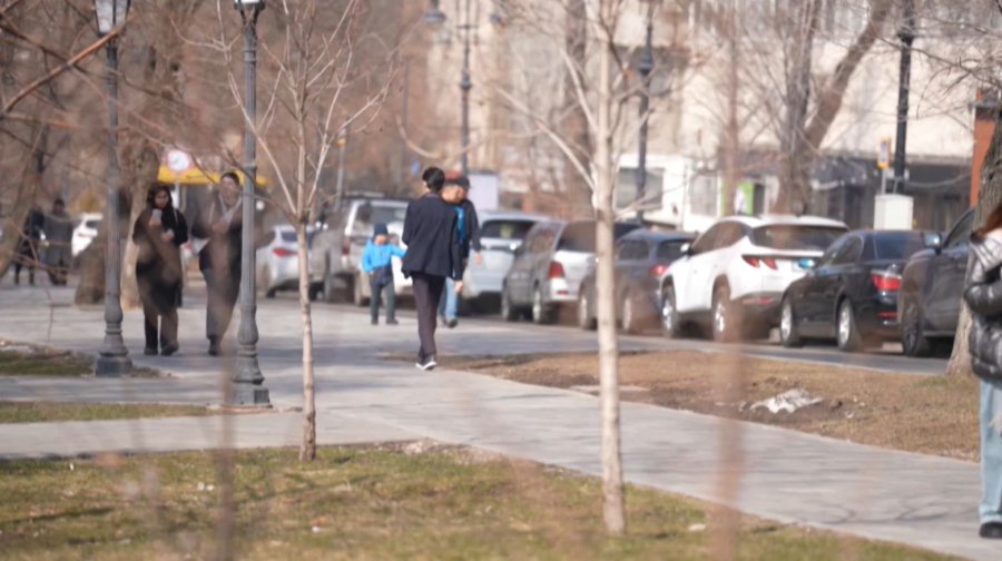 Около 900 жалоб в сфере образовательных услуг зарегистрировали в Казахстане