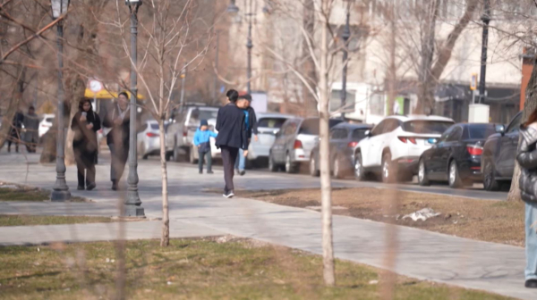 Около 900 жалоб в сфере образовательных услуг зарегистрировали в Казахстане